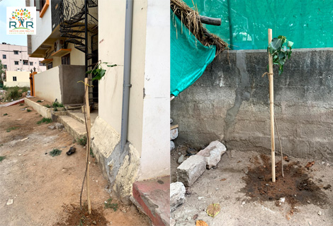 Tree Plantation in Hyderabad - RAR Charitable Trust