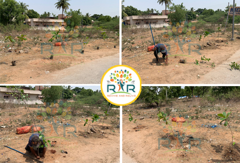Tree Plantation in Hyderabad - RAR Charitable Trust