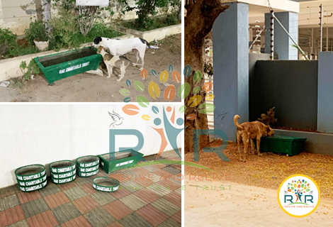 Water Tubs for animals and birds in summer, Hyderabad - RAR Charitable Trust