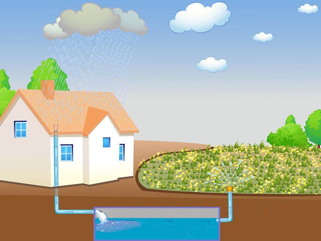 Rain Water Harvesting